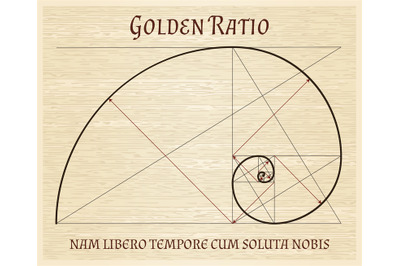 Fibonacci section spiral, vintage concept