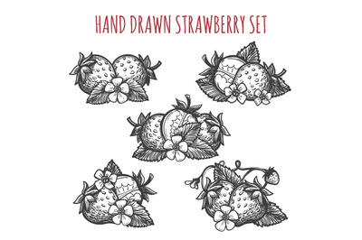 Strawberry sketch icons set