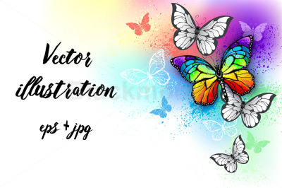 White Background with Rainbow Butterfly