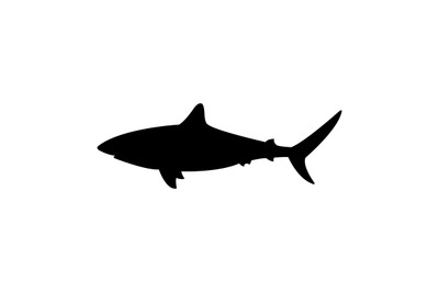 Shark icon