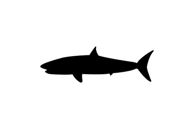 Shark icon