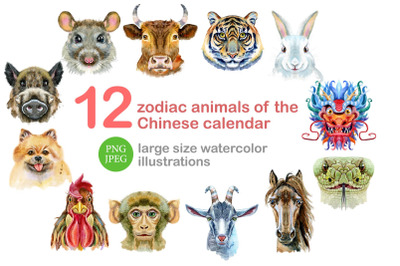 Watercolor zodiac chinese calendar