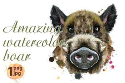 Amazing watercolor boar