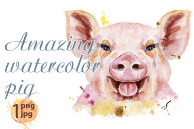 Watercolor portrait of pig