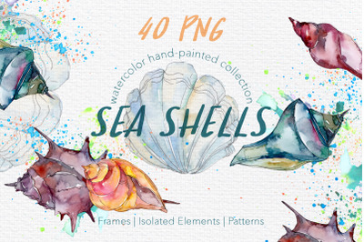 Sea Shells Watercolor png