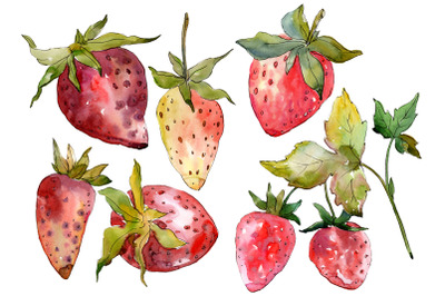 Strawberry &quot;Kimberly&quot; watercolor png