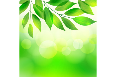 Green leaves on bokeh background