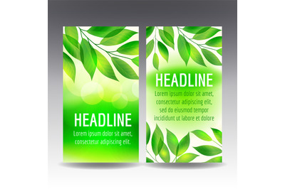 Flyer templates with green leaves