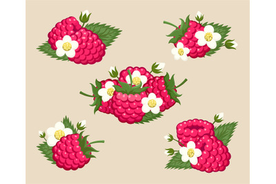 Raspberry with leaves and flowers