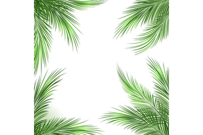 Palm leaves frame