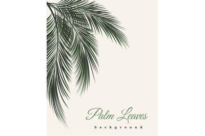 Palm leaves vintage background
