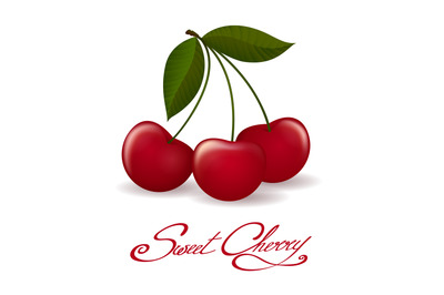 Cherry berries isolated icon