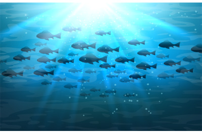 Shoal of sea fish in ocean