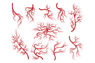 Veins and capillary icons set