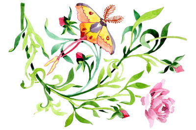 Ornament from a flower plant watercolor png