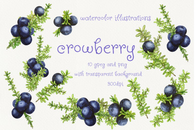 Crowberry. Watercolor illustration set