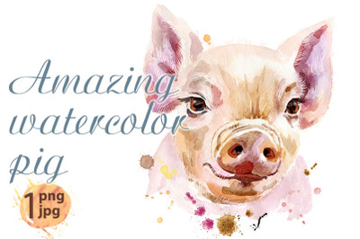 Watercolor portrait of pig