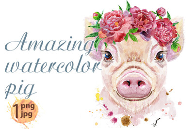 Watercolor portrait of pig