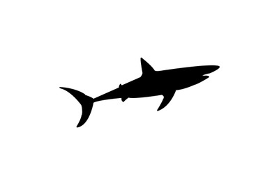 Shark icon