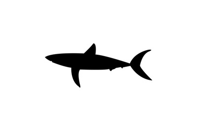 Shark icon