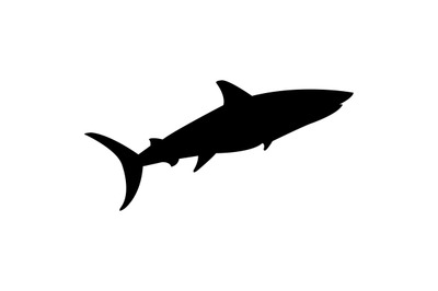 Shark icon