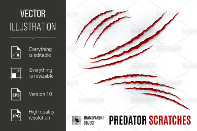 Predator Scratches