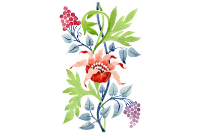 Ornament flower Aromas of nature watercolor png