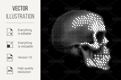 Human Skull