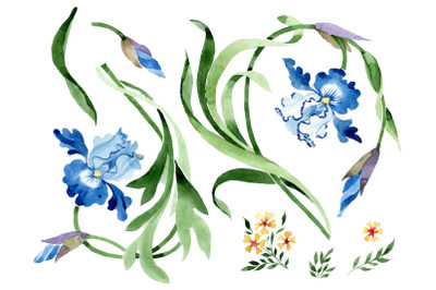 Ornament with irises Watercolor png