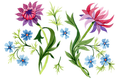 Floral classic watercolor ornament png