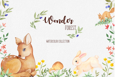 Wonder forest. Watercolor collection