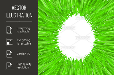 The contour of the egg of the grass