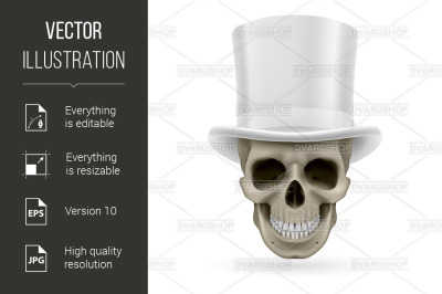 Human skull with hat on