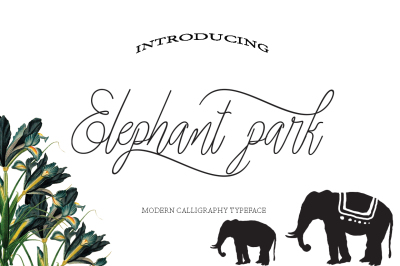 Elephant park Font Duo