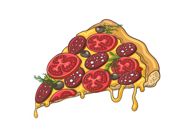 Pizza slice icon on white