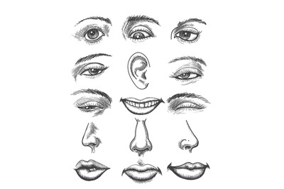 Vintage sketch human face parts