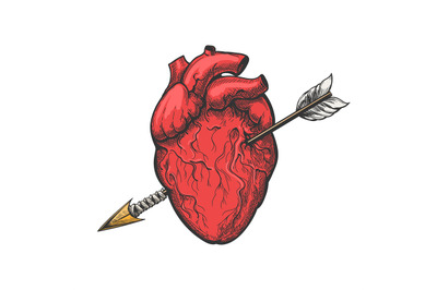 Human heart with arrow tattoo etching