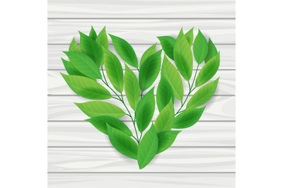 Heart from green leaves