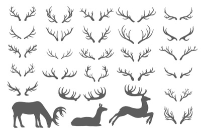 Deer horns.