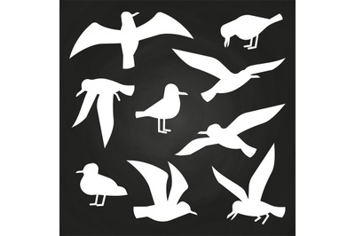 White birds silhuette on chalkboard - flying seagulls silhouettes