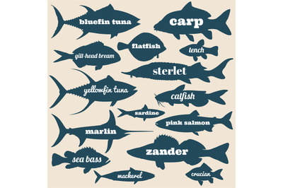 400 3591119 x7nd9sgwq84kk18gdi1909mwx3lbj73lravjcj62 ocean fish vector silhouettes with names isolated on white background