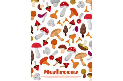 Delicacies fresh edible mushrooms poster background