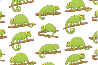 Set of Chameleons and Pattern