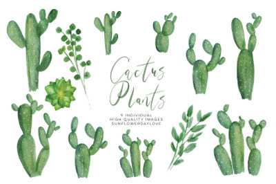 Watercolor Cactus Plant Clipart Set, Green Natural Botanical Clip Art