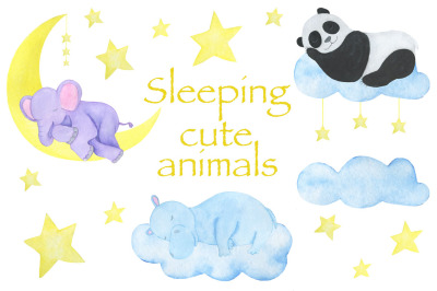 Sleeping animals watercolor. Panda hippo elephant pattern