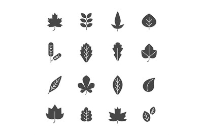 Black leaves. Vector symbols of autumn plants