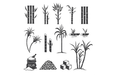 Sugarcane farm symbols. Sweets field plant harvest milling vector colo