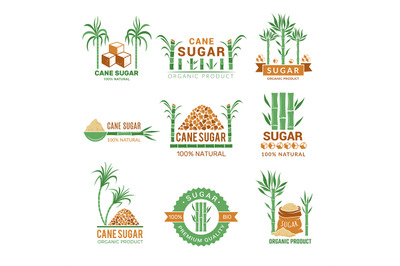 Sugarcane manufacturing. Sweets plants production farm industry leaf v