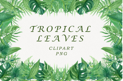 Tropical leaves