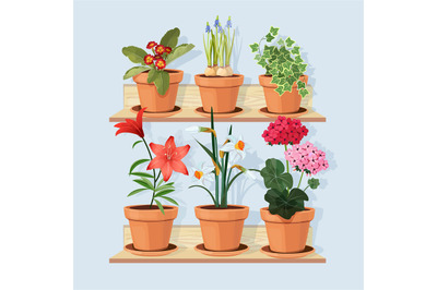 Flowers at shelves. Decorative tree plants grow in pots and standing i